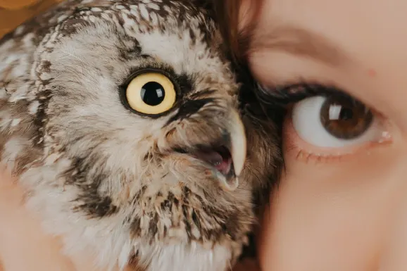 Casino B Bets Ondersteuning